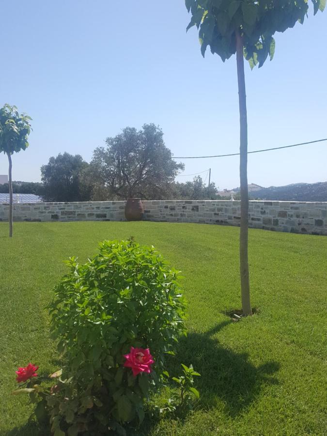 Villa Jodi Πιτσίδια Εξωτερικό φωτογραφία